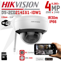DS-2CD2141G1-IDW1